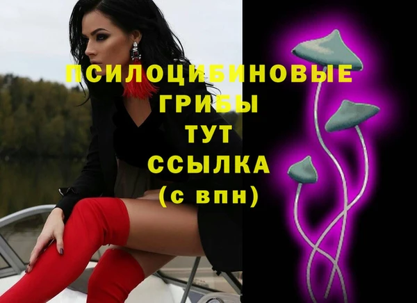 сатива Верхнеуральск
